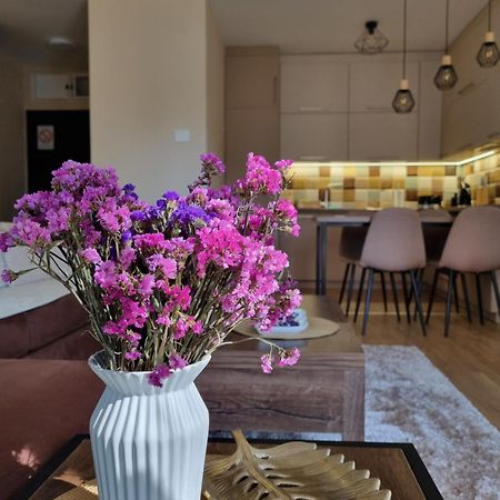 Stella Apartment Subotica Bagian luar foto